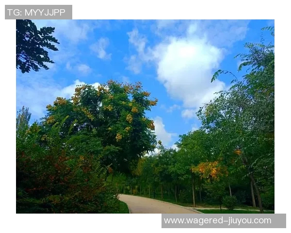 翟晓川：从篮球场的拼搏到人生舞台的精彩转身